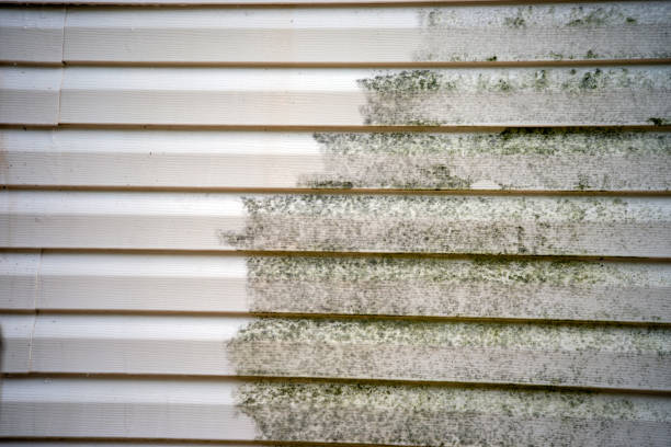 Best Furniture Removal  in Sound Beach, NY