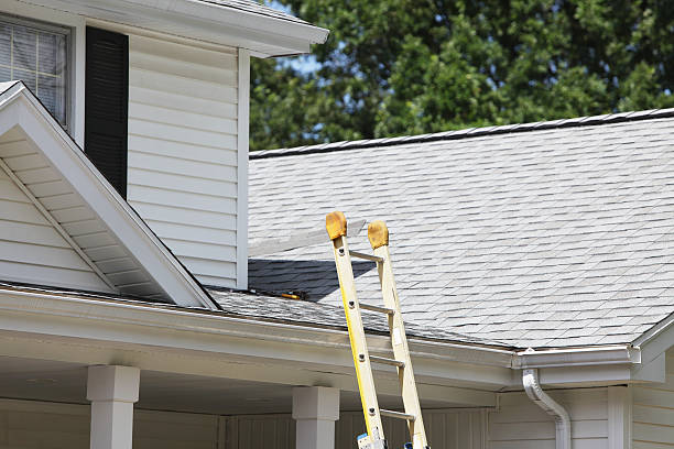 Best Hoarding Cleanup  in Sound Beach, NY